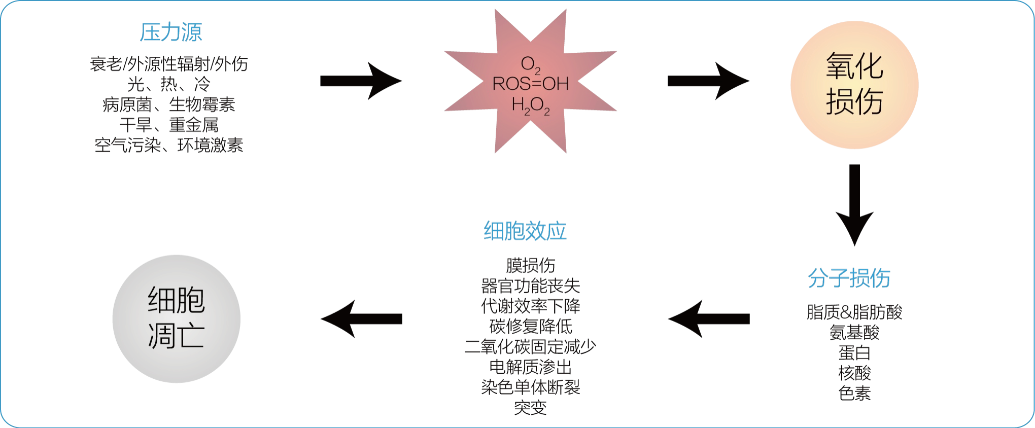 1692696644741196.png 图片 3.png
